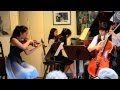 BEDRICH SMETANA Piano Trio in G Op. 15, Mvt. II Allegro ma non agitato