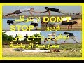 لا تتوقف Don T Stop فيديو تحفيزي يشجع على ممارسة الرياضة 