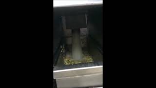 De Revolutionaire Hobart Premax Aupa Hobartnederland 1080P, H264, Youtube