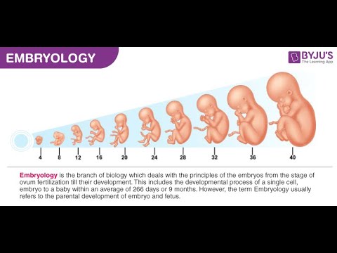 EMBRYOLOGY: LECTURE: ONE