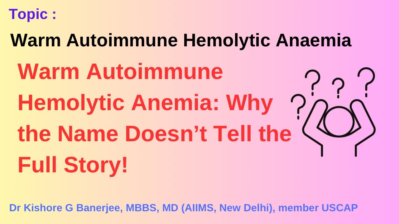 Warm Autoimmune Hemolytic Anaemia AIHA Demystified A Confusing Term Warm autoimmune hemolytic anaemia aiha demystified a confusing term
