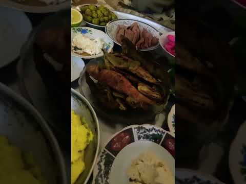 لمانكون بطرطوس منفطر سمك اكسبلور محركات اسطنبول قهوتي كوميديات لايك كامري 