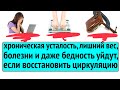 Измотанность, лишний вес, бедность и даже диагнозы уйдут, если понять закон циркуляции энергии!