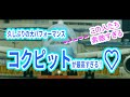 コクピット!大パフォーマンス!久しぶりのANA380