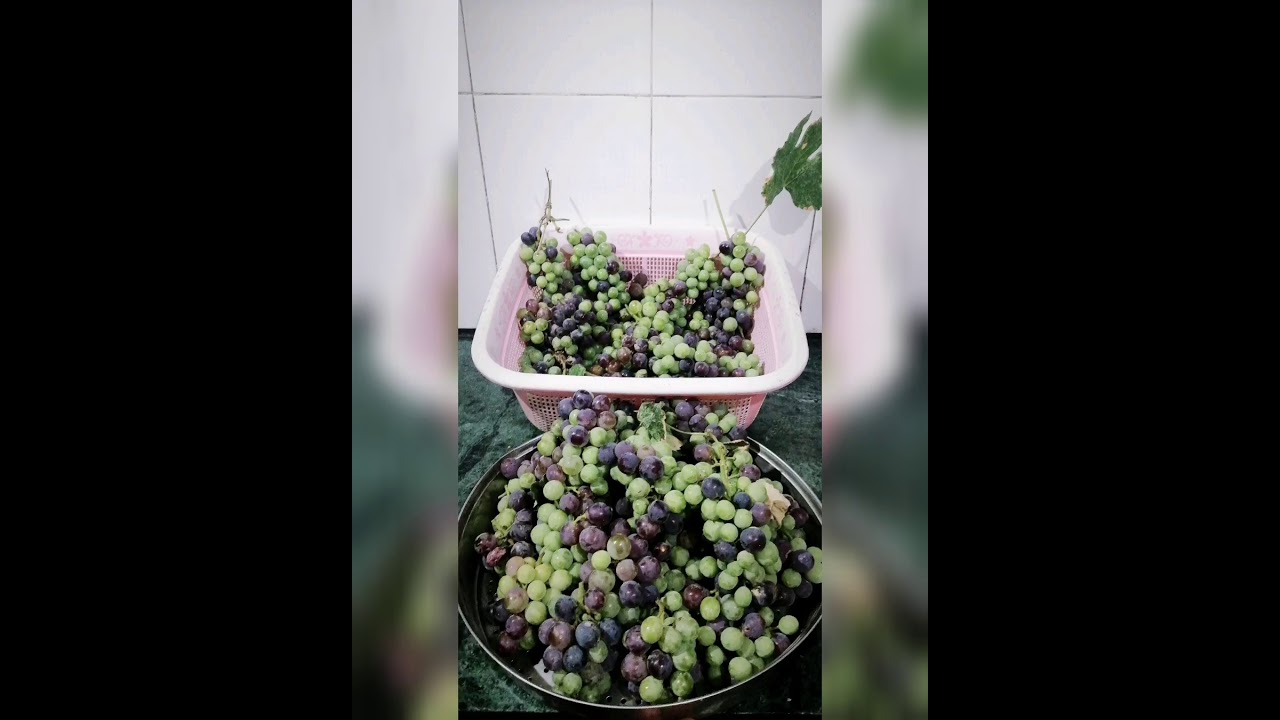 How I made Red Wine