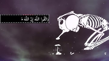 قرآن كريم  ياسر الدوسري    أجمل حالات واتس اب دينيه    تلاوة خاشعة 💖