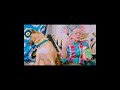 ミッチェルくんと家庭教師で英会話4-1 #automobile #柴犬 #英会話海外留学 #英会話 #うさぎパパ #art #しろうさぎ
