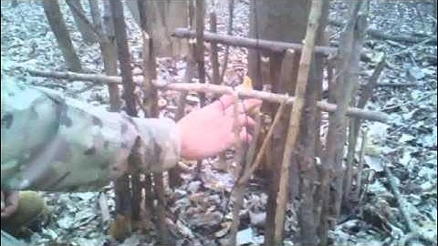 Primitive Trap - Reverse Figure 4