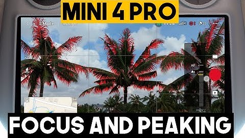How to Adjust Focus and Peaking on DJI Mini 4 Pro