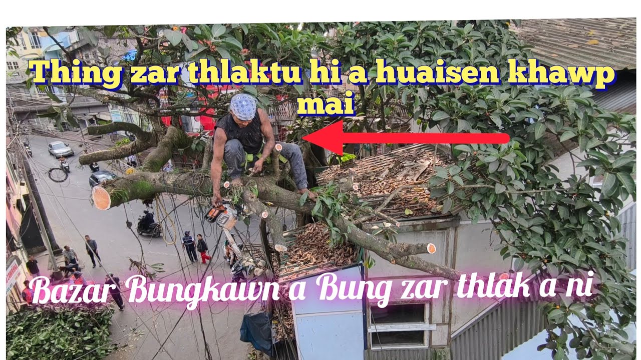 Eheu, Thing zar thlak tu huaisen zia hi. Bazar Bungkawn a Bung thlak a ni.