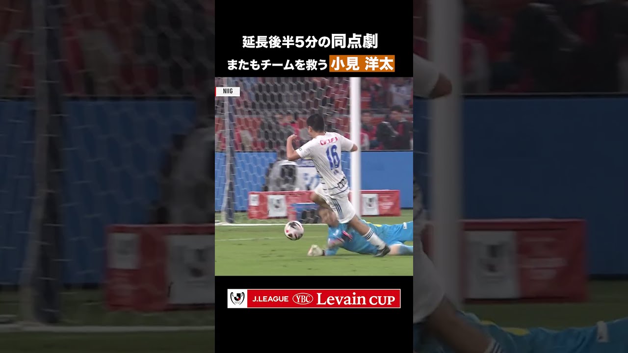 アルビレックス新潟 ルヴァンカップ決勝 リボンマグネット
