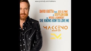 David Guetta feat. Jess Glynne & Stefflon Don - She Knows How To Love Me