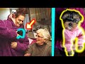 SORPRESA! Regaliamo un CUCCIOLO di CANE alla NONNA!
