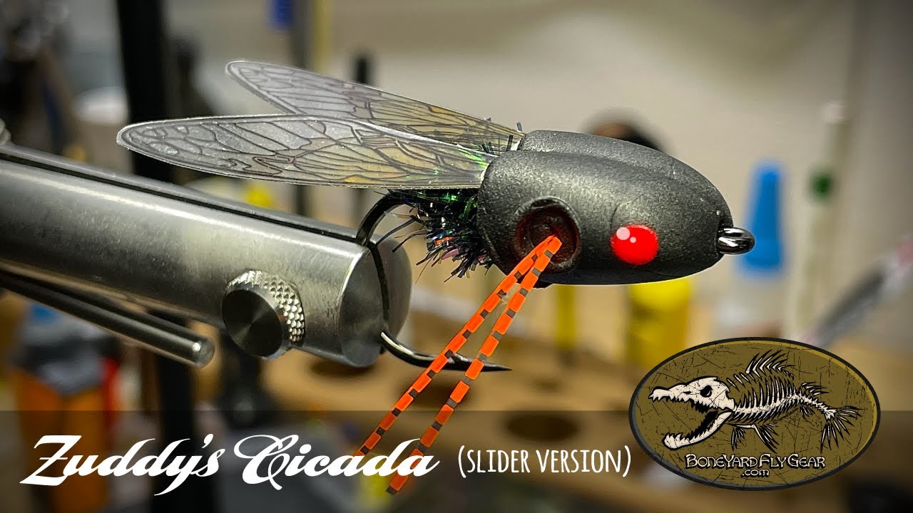 Zuddy's Cicada Tutorial 2024 