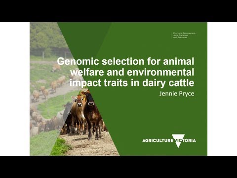 Genomic selection for animal welfare and environmental impact traits in dairy cattle Genomic selection for animal welfare and environmental impact traits in dairy cattle