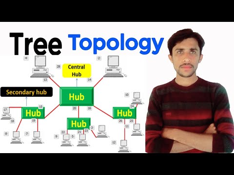 Tree Topology advantages & disadvantages with example