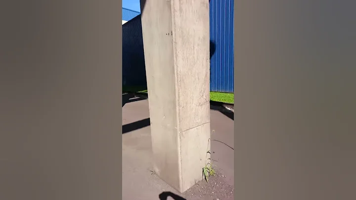 Concrete Frame Repair Col 2