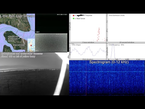 SEICHE WATER TECHNOLOGY GROUP LTD Live Stream