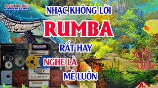 Tuyệt Đỉnh Nhạc Không Lời Rumba - Nhạc Hoa Lời Việt Rất Hay Nghe Là Mê Luôn - Organ Anh Quân