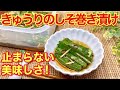 きゅうりの紫蘇（大葉）巻き漬けの作り方♪調味料は麺つゆのみで簡単なのに止まらない美味しさです。ご飯のおかず、おつまみ、箸休め等々に最高です。