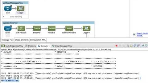 Mule esb Connecting to JMS queues