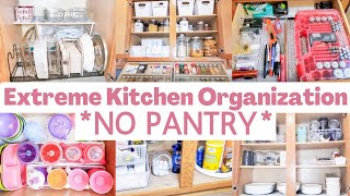 *NO PANTRY* Extreme Kitchen Organization 2021 | Collab with Our Little Bloom | Life with Liz