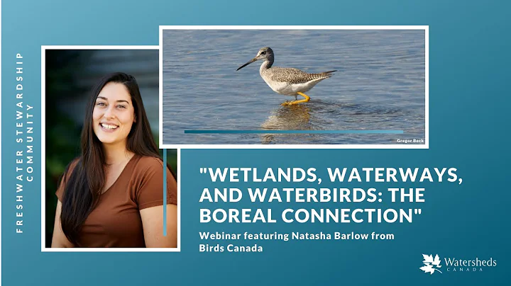 "Wetlands, Waterways, and Waterbirds: The Boreal C...