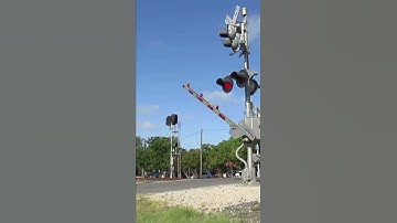 Beautiful K5LA on AMTK 59 #shorts