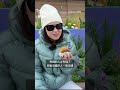 中國提升避孕套價格能提高生育率嗎？－ BBC News 中文 #中國