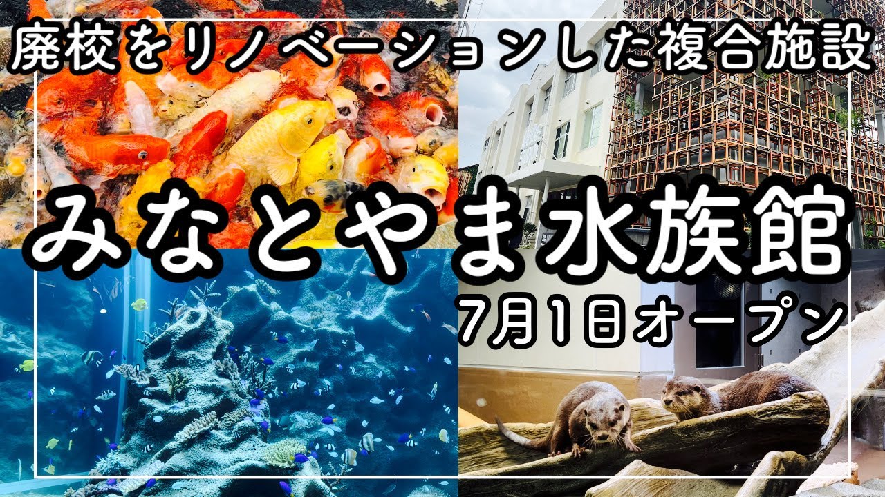 【兵庫区に７月１日オープン】廃校をリノベーションした複合施設！ネイチャースタジオ！みなとやま水族館！湊山小学校跡地に誕生！NATURE STUDIO japanes Aquarium