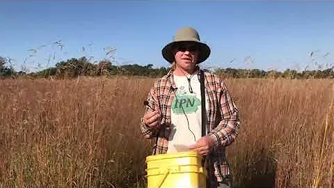 Facebook Live Harvesting Seeds at Pecatonica Ridge...