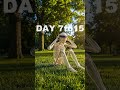 I Did100 Sit-Ups Every Day for 30 Days  (Insane Transformation)