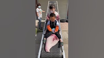 Folding belt conveyor length can be customized, height can be adjusted, width can be s yor