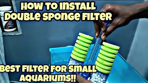 How to install a sponge filter in aquarium| Benefits of bio filteration | New tank update