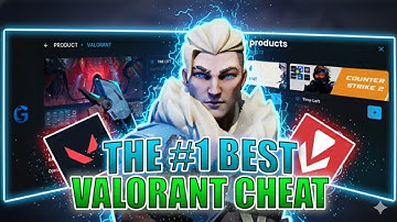 I Used The #1 Valorant Cheat For 24 Hours... (The Results Are INSANE)