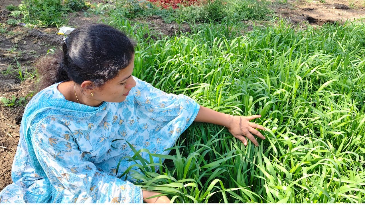  Day-1 आजचा 😱लाईव्ह कसा झाला ✅नक्की पाहा👀