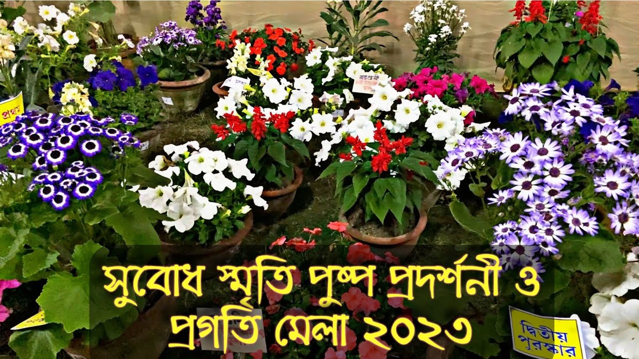 বগুলার গর্ভ সুবোধ স্মৃতি পুষ্প প্রদর্শনী ও প্রগতি মেলা | Bagula Flowers ...