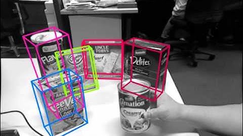Object recognition and pose estimation under cluttered environment