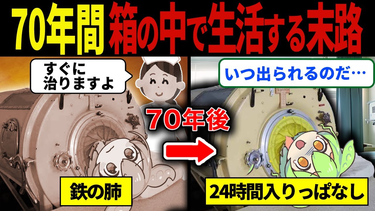 【実話】70年間箱の中に入っているずんだもんの末路【ずんだもん&ゆっくり解説】