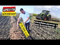 Цибуля, смородина, цукровий буряк та No-Till😳 Як все вживається в господарстві? Дискатор Bednar