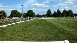 Western Dressage Cjha Sept 2012