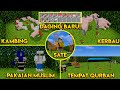 ADDON MCPE SPESIAL IDUL ADHA !!