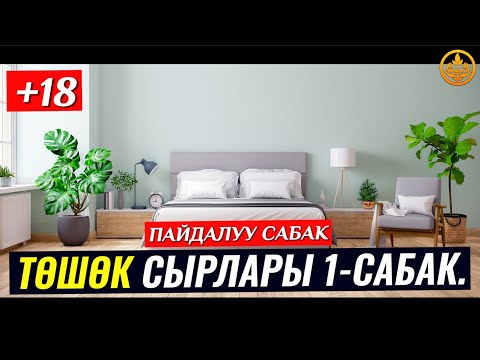 Video: Төшөк көтөргүчтөрүн тизсе болобу?