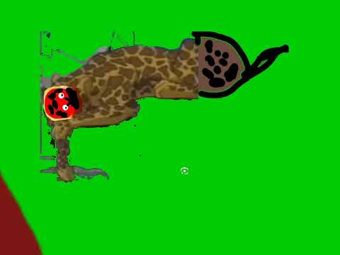 Learn The ABCs L Is For Leopard