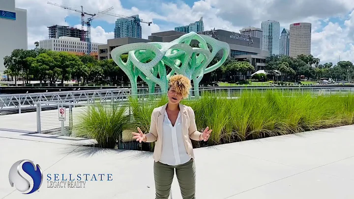 Tia Carter - Tampa Bay Real Estate Agent Servicing...