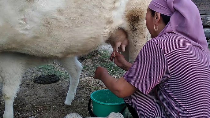 Ресейдегі ең сексуалды қыз Көршімен жыныстық қатынас HD сапасында