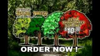 Shade Tree - As Seen on TV