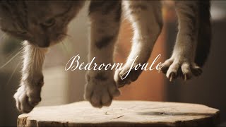 [Alexandros] - Bedroom Joule (Teaser-02)