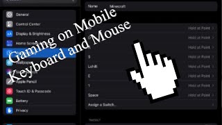 Keyboard & Mouse Gaming On iPadOS 14! New Version! (Updated) screenshot 5