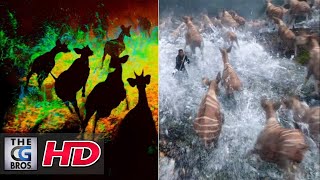 Cgi & Vfx Breakdowns After Earth Okapi Stampede By Jonathan Freisler Thecgbros